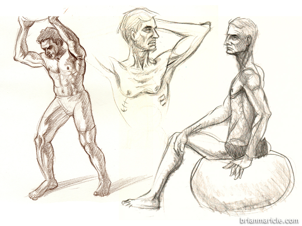 male sketches